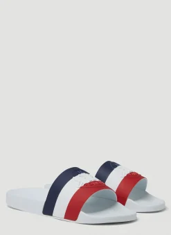 Basile Slides