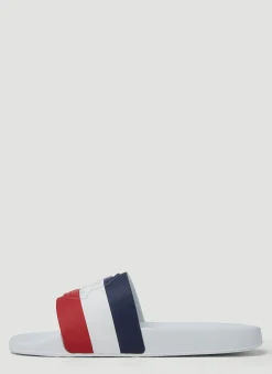 Basile Slides