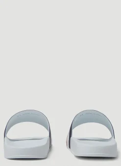Basile Slides