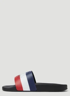Basile Slides