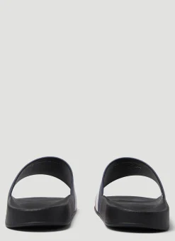 Basile Slides