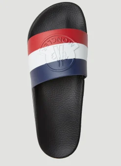 Basile Slides
