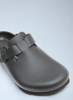 Boston Mules