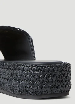 Braided Platforms