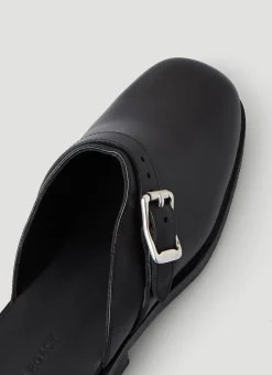 Camion Mules