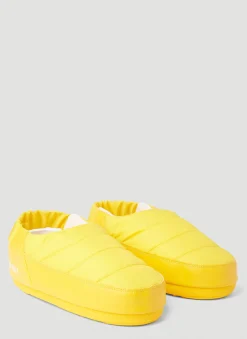 Evolution Low Shoes