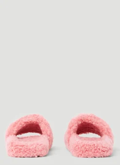 Furry Slides