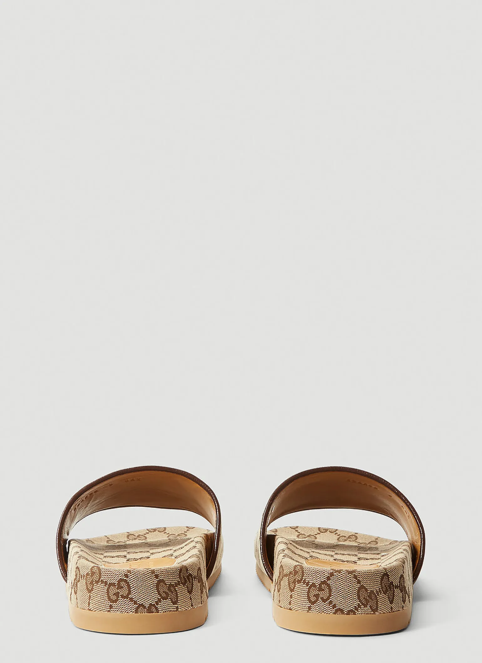Gg Canvas Slides