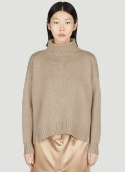 Gianna Turtleneck Sweater