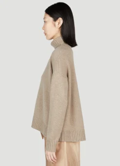 Gianna Turtleneck Sweater