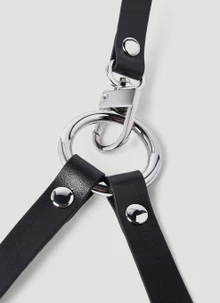 Harness Belt