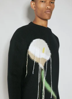 Intarsia Wool Knit Sweater