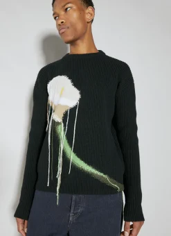 Intarsia Wool Knit Sweater