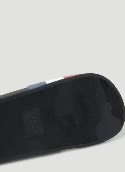 Logo Stripe Slides