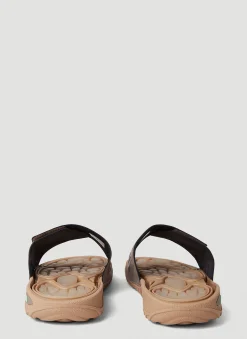 Reptossage Slides