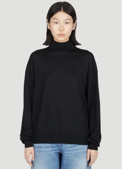 Semi Sheer Turtleneck Sweater