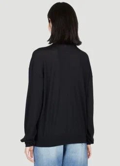 Semi Sheer Turtleneck Sweater