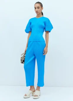 Short Sleeve Pleated Top