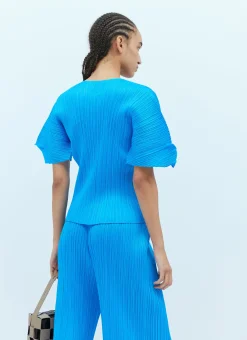 Short Sleeve Pleated Top