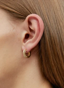 Small Nova Hoop Earrings