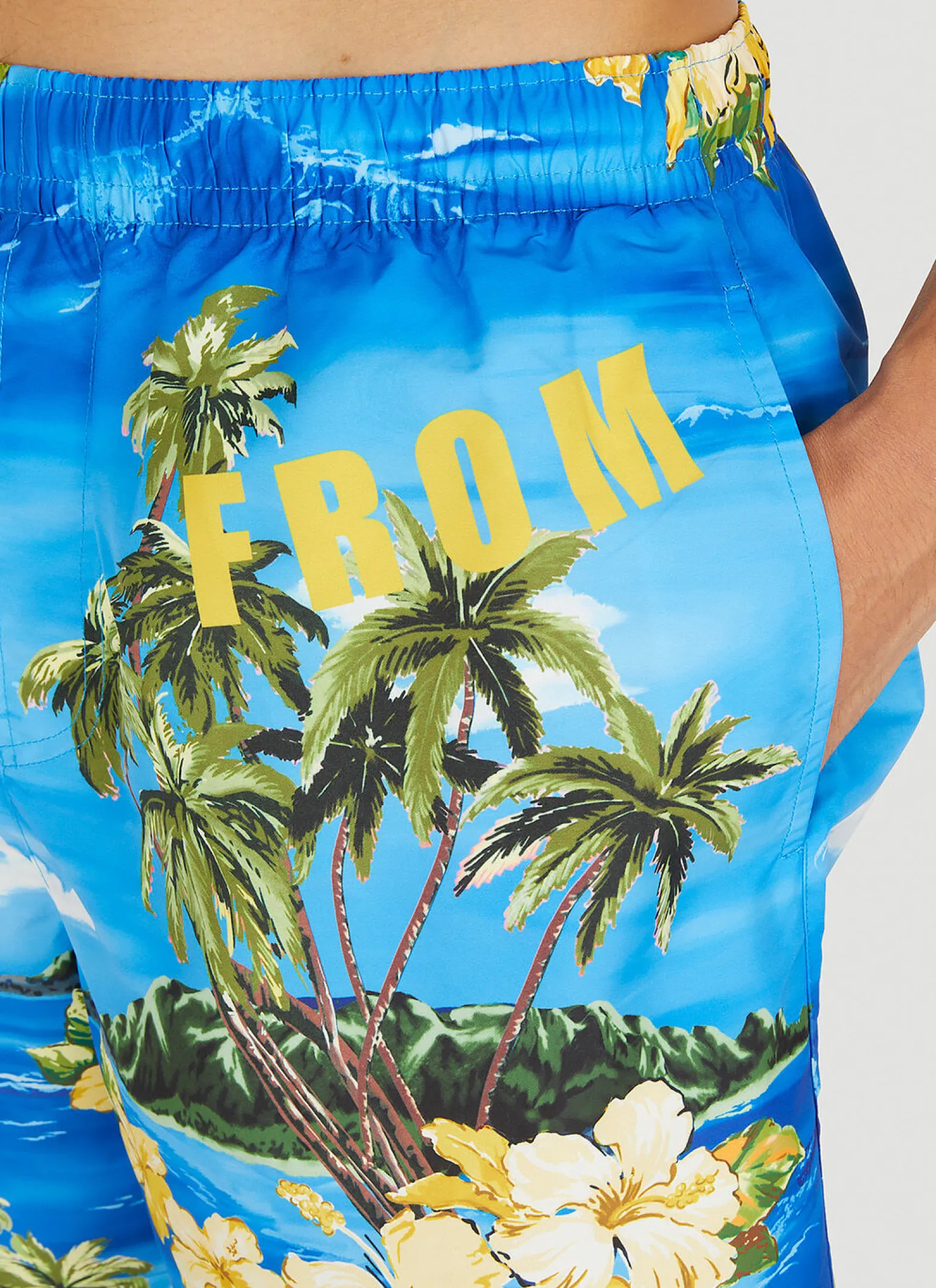 Souvenir Swim Shorts