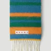Stripe Scarf