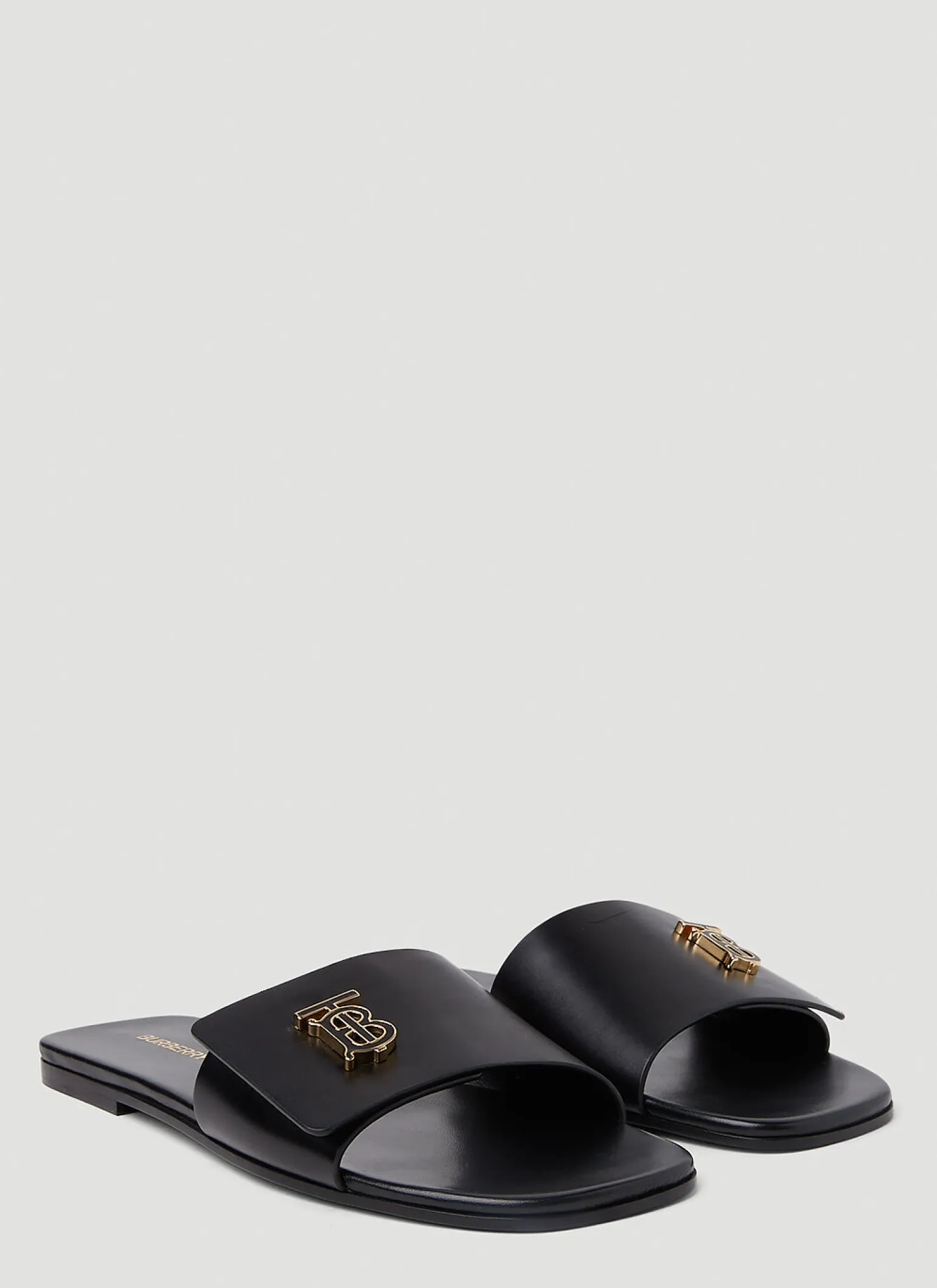 Tb Monogram Slides