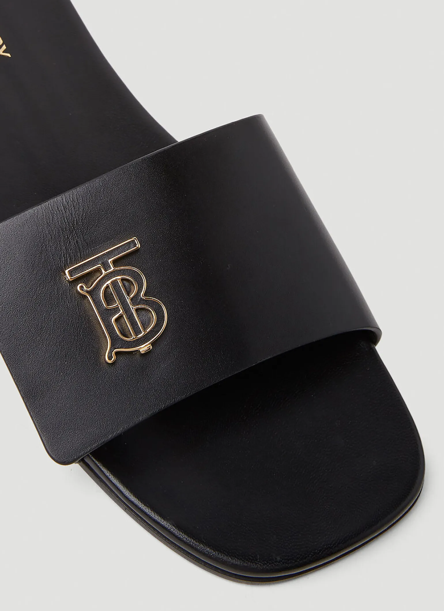Tb Monogram Slides