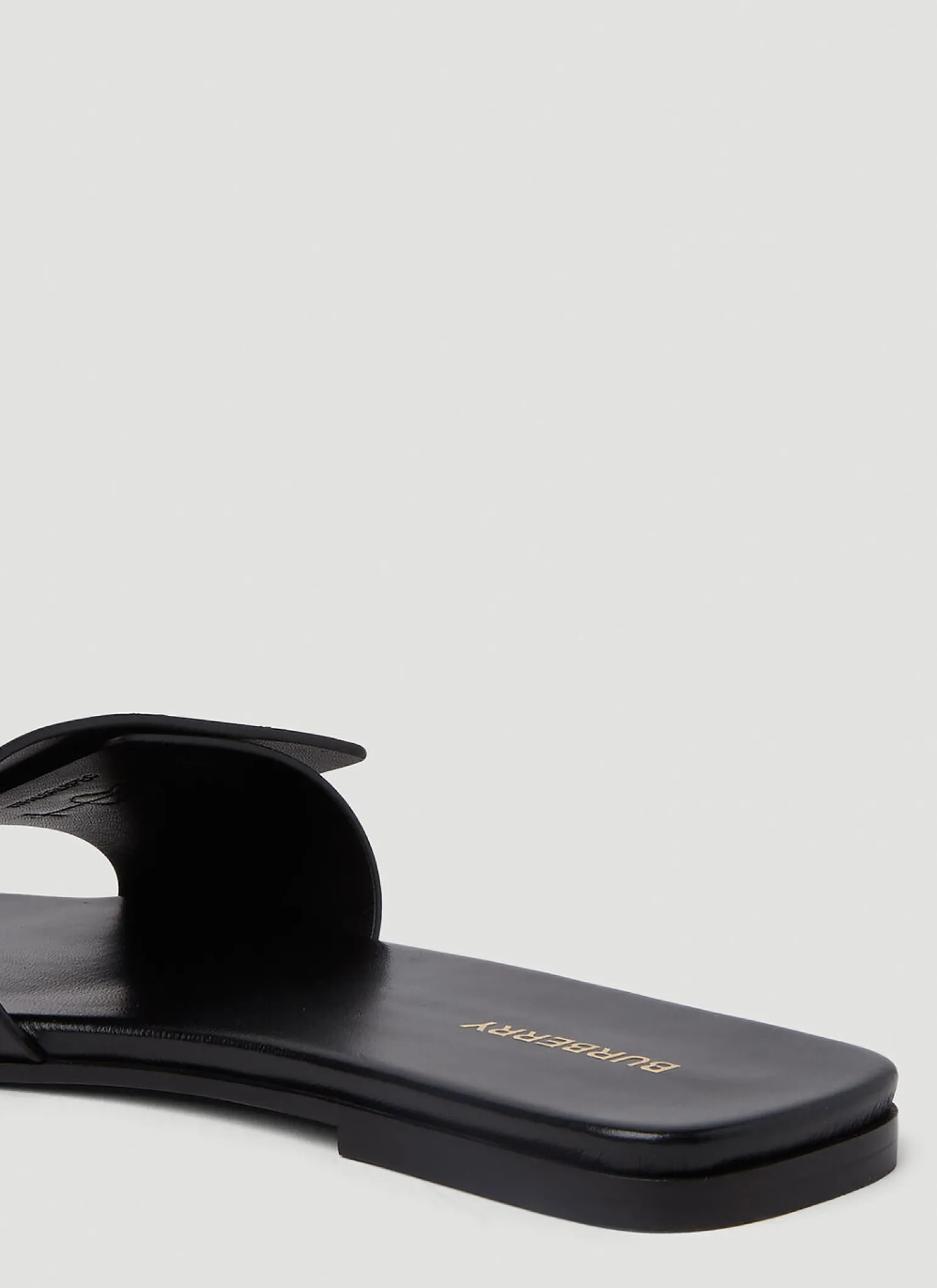 Tb Monogram Slides