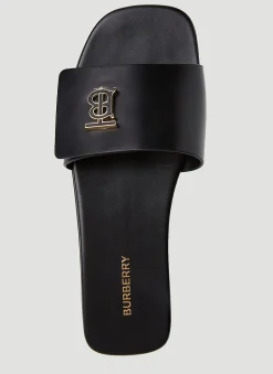 Tb Monogram Slides