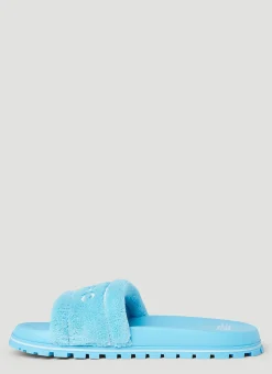 The Terry Slides
