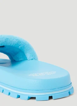 The Terry Slides