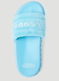 The Terry Slides