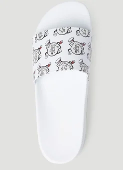 Trailgrip Lite Slides