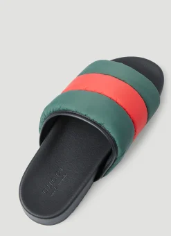 Web Stripe Padded Slides