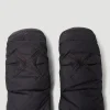 X Kaws Nuptse Mitts