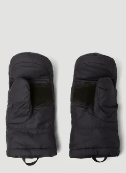 X Kaws Nuptse Mitts